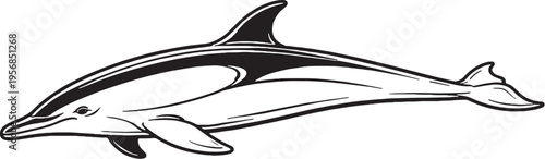 Common Dolphin Fast Swimming Black and White Line Art Marine Mammal Vector Illustration eps