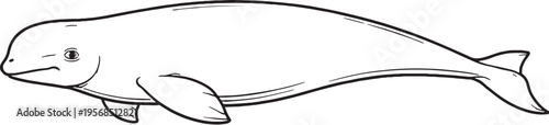 Beluga Whale Swimming Side View Clean Black And White Line Art Marine Mammal Illustration eps