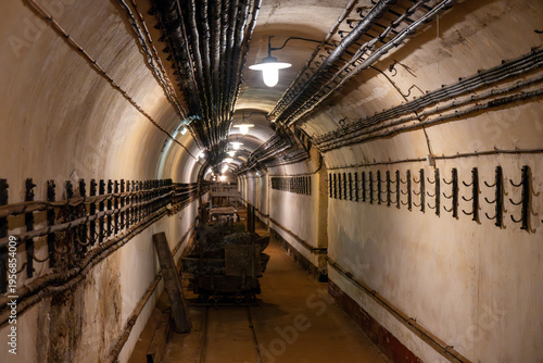 Картината върху платно Veckring, France - 3 Mar 24: Cable-lined tunnel with mine cart in Maginot Line f