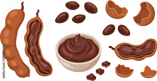 Tamarind Fruit Collection with Pods Seeds Paste and Pieces Exotic Tropical Ingredient Vector Illustration Set for Cooking, Food Design, and Organic Nutrition Concepts