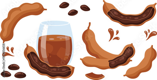Tamarind Juice Vector Set with Fresh Pods, Seeds, Glass Drink and Splashes for Tropical Beverage Illustration, Organic Drink Design and Natural Refreshment Concept