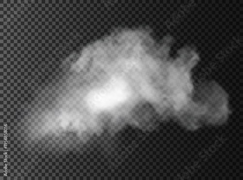 Fog or smoke isolated transparent special effect. White vector cloudiness, mist or smog background.