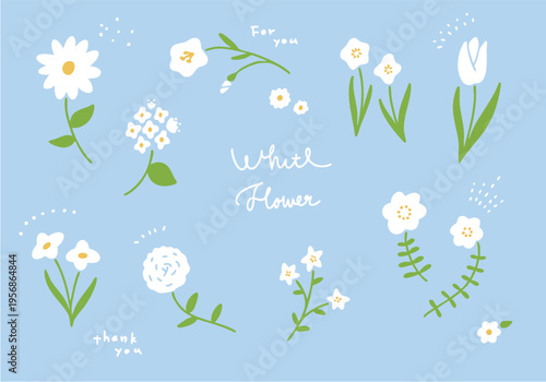 かわいい白い花のイラスト素材