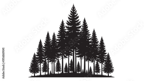 Pine forest silhouette with varied tree sizes and layered branches against a white background featuring trees, nature, evergreen with conifer and