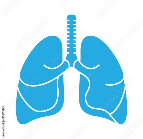 Blue human lungs with trachea anatomy illustration isolated on white background