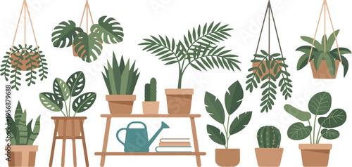 Variety of houseplants in pots flat design vector illustration, indoor plant decoration elements with shelves and hanging plants set
