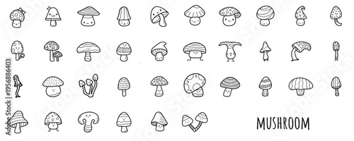 Hand drawn cute mushroom and fungi doodle vector set. Black and white line art illustration of forest mushrooms, toadstools, and botanical elements for nature design.