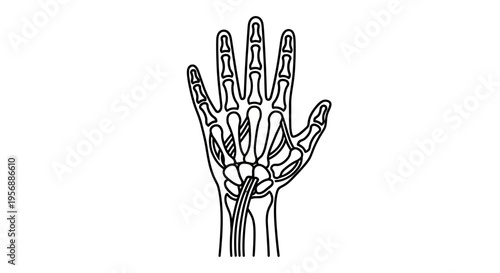 Detailed anatomical illustration of a human hand, showcasing skeletal structure and wrist bones in a clear, educational line art style, perfect for scientific and medical contexts