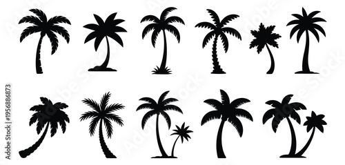 Simple Silhouette Palm Tree Icon, various tropical palm tree silhouettes, representing summer, beach, vacation, and tropical getaway concept, clean vector design