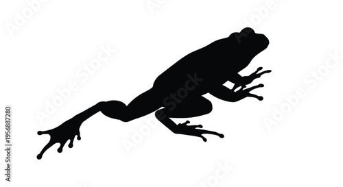 A leaping frog captured in a striking black silhouette