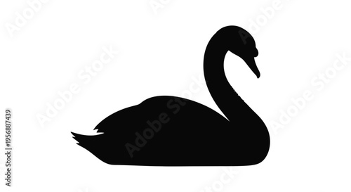 Elegant swan gracefully gliding on water a striking black silhouette