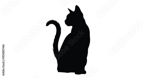 A sleek black cat sits in profile a striking silhouette