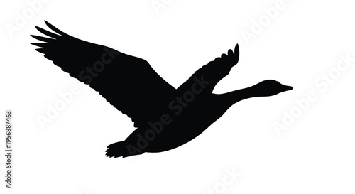 A striking black silhouette of a goose in graceful flight