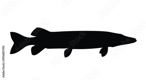 A striking black silhouette of a long predatory fish silhouette