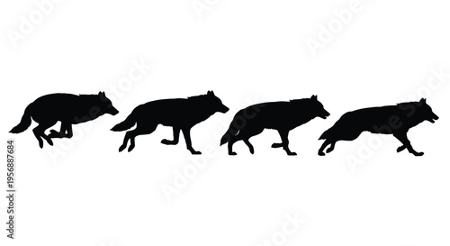 Four wolves in sequential motion depicted as a striking silhouette