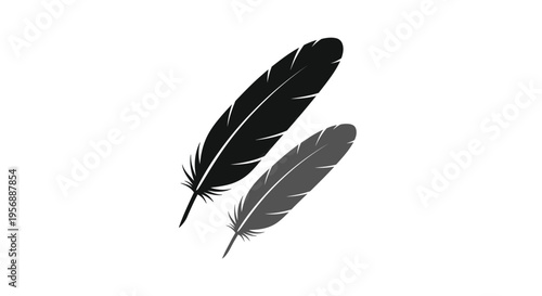 Two dark feathers floating gently against a plain white background silhouette