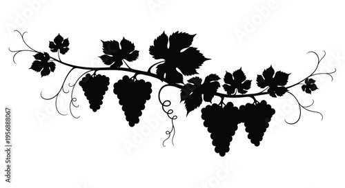 Black vine and grape bunches create a dramatic floral silhouette