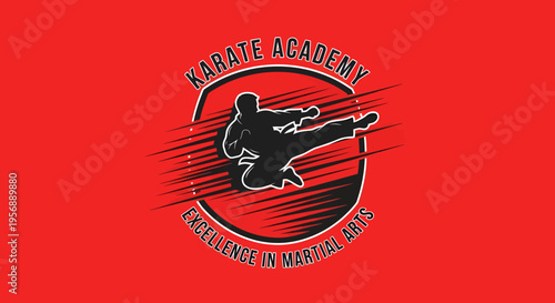 Karate Academy Silhouette of a Fighter Performing a Kick.