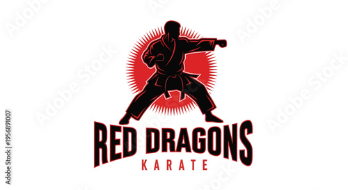 Red Dragons Karate Silhouette of Martial Artist in Action.