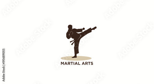 Silhouette of a martial artist performing a dynamic kick.