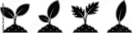 A collection of four simple black silhouette icons representing small green plant sprouts in soil