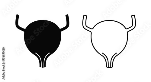 Uterus illustration solid black and transparent checkered versions displayed