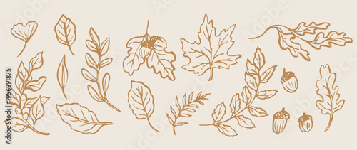 Autumn gold leaves, fall season foliage, maple leaf sketch, botanical autumn pattern, organic garden doodles, seasonal nature illustration, golden leaf elements.
