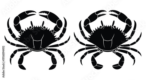 Two symmetrical black silhouettes of marine crabs with large claws and detailed spiky shells isolated on white background, Vector, illustration