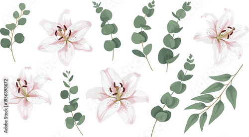 Elegant Lily Flowers and Eucalyptus Leaves Set with Botanical Elements, Soft Floral Arrangement, and Natural Greenery for Wedding Design, Decoration, and Nature Illustration