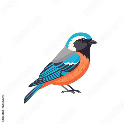 Flat illustration of a small, colorful bird with blue, orange, and gray plumage