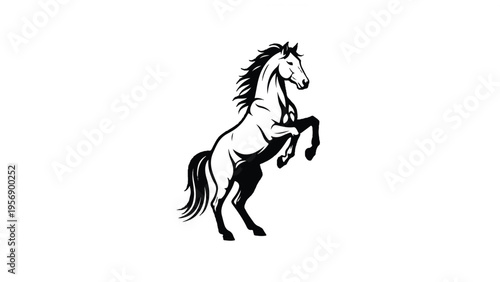 Black and White Horse Illustration Rearing 7.