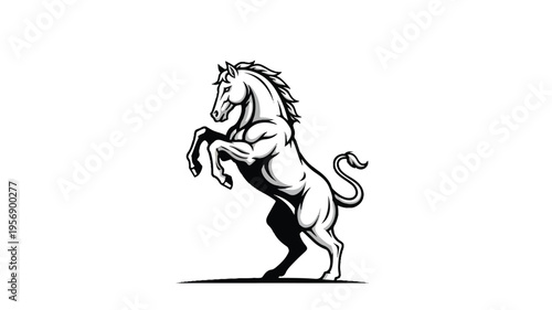 Black and White Horse Illustration Rearing 8.