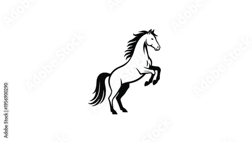 Black and White Horse Illustration Rearing 9.