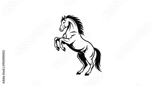 Black and White Horse Illustration Rearing Up 7.