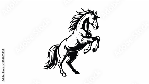 Black and White Horse Illustration Rearing Up 8.