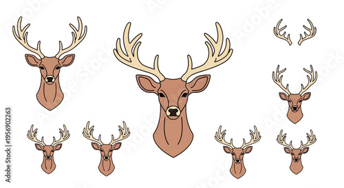 Deer Heads with Antlers Illustration.