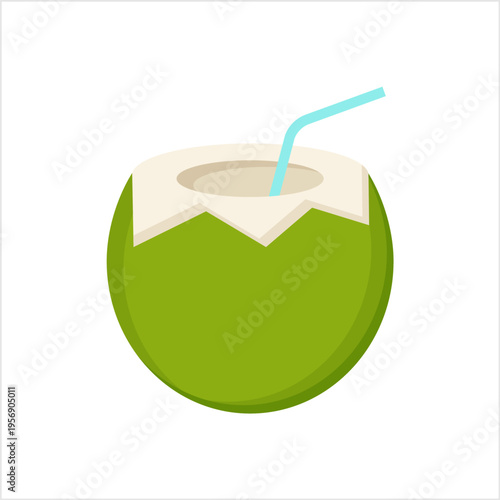 Coconut Icon, Coconut Fruit