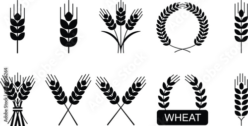 Wheat ear agriculture icon set, wheat spike grain symbols, farm harvest logo elements, cereal crop silhouettes, organic farming vector collection
