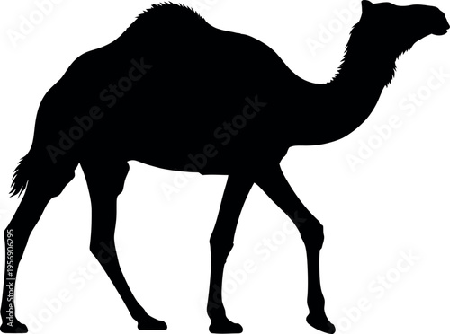 Photos A black silhouette of a camel standing on a white background