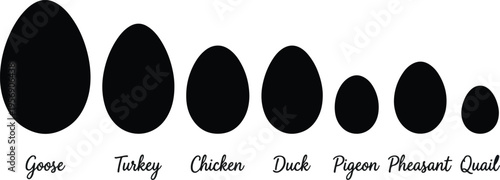 2026 Vector Set of Black Bird Egg Silhouettes with Calligraphy Inscriptions Including Goose, Turkey, Chicken, Duck, Pigeon, Pheasant, and Quail 
