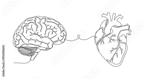 Brain and heart connected, one line drawing, emotion and logic