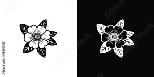 Black and white flower on contrasting backgrounds floral