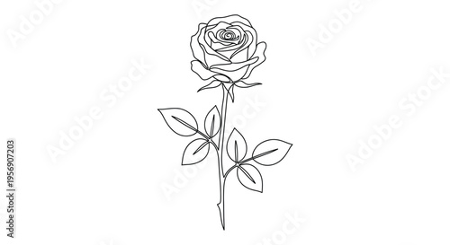 Single line drawing of a rose with stem and leaves
