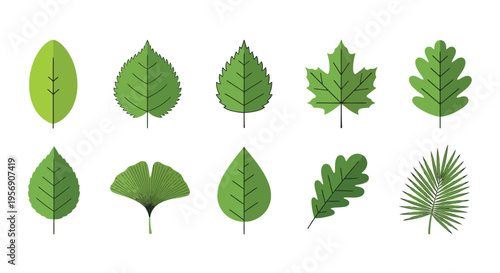 Collection of stylized green leaves in a variety of shapes and sizes