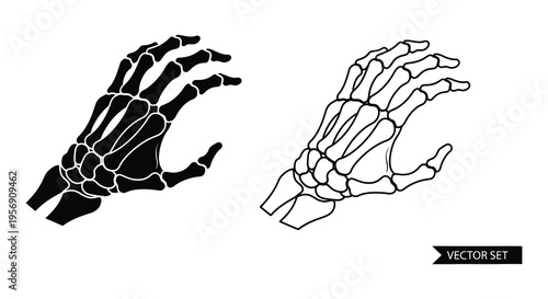 Two skeletal hands reaching detailed bone structure black and white illustration silhouette