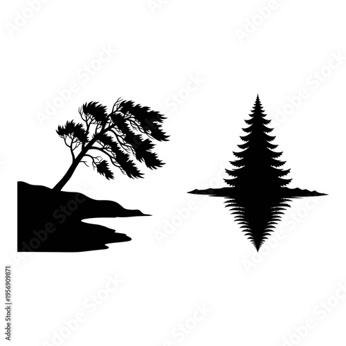 Contrasting silhouettes of a bent tree and a tall evergreen tree by water. Vector, illustration