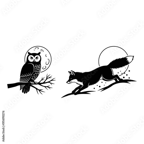 Nocturnal animals under the moonlight with a full moon in the background Vector, illustration