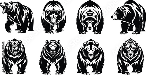 Bear Head and Full Body Silhouette Collection with Fierce Wild Animal Illustrations for Mascot Logo Wildlife Design and Powerful Vector Illustration Set