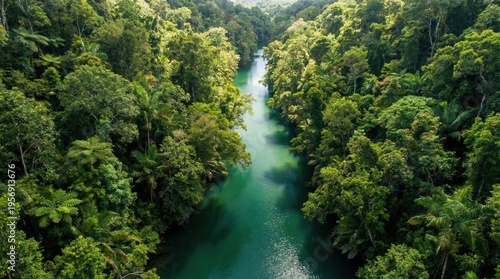 Konstfotografi Aerial View of a Lush Tropical Rainforest River.