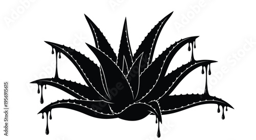 Intricate aloe vera plant design with dripping effect a striking silhouette